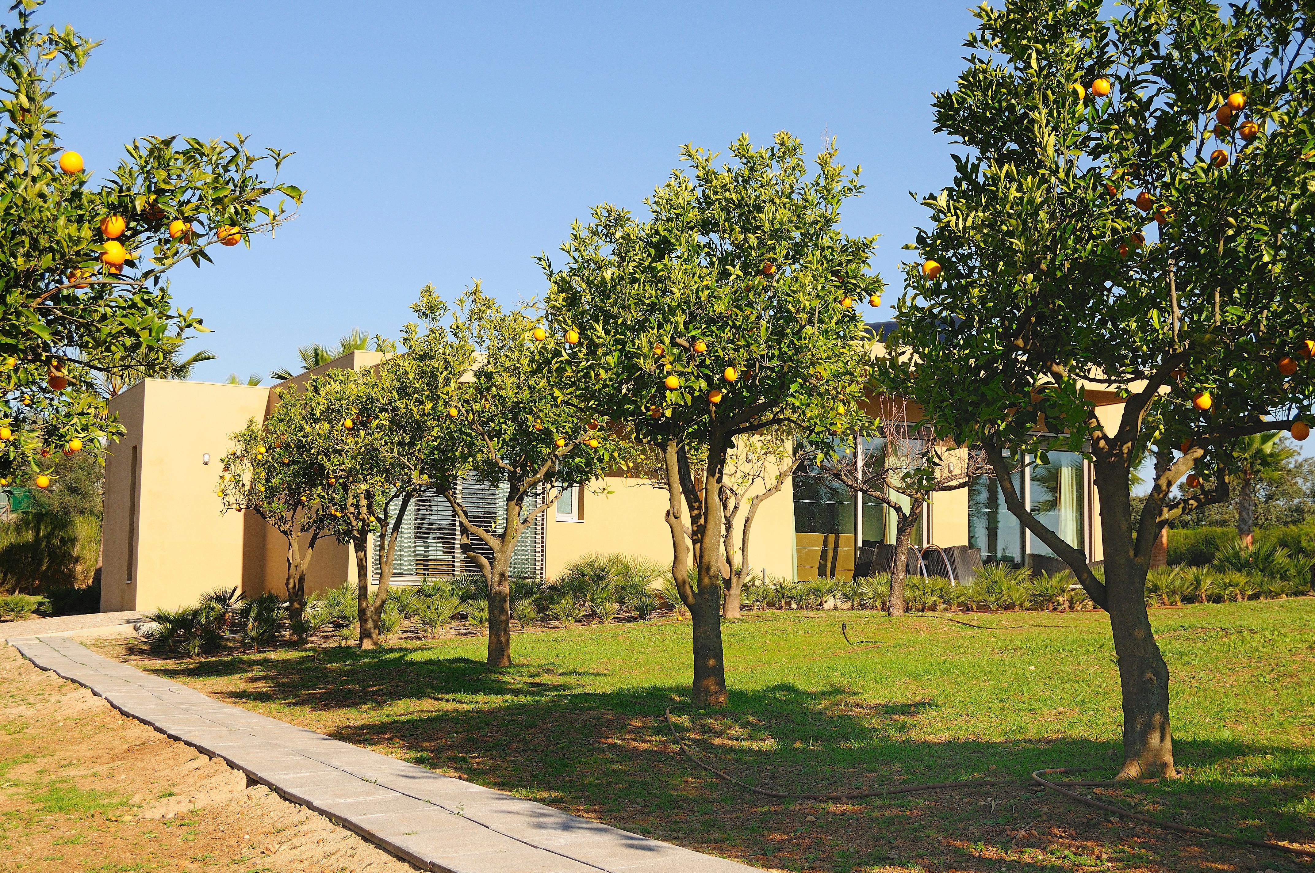 Montargil Monte Novo Hotel ภายนอก รูปภาพ